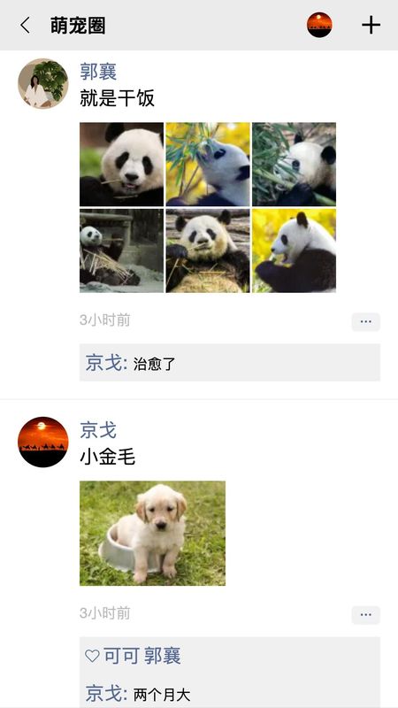 队信_图片4