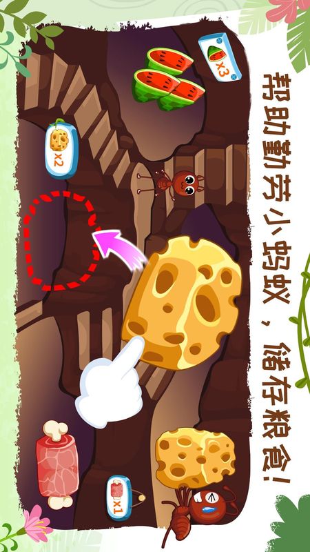 奇妙昆虫世界_图片2