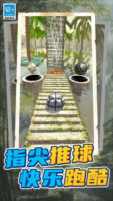 球球回家_图片1
