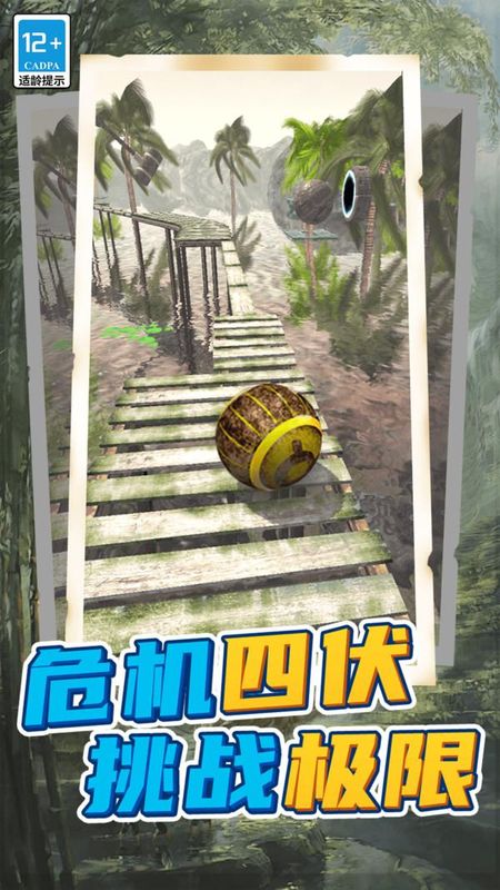 球球回家_图片2
