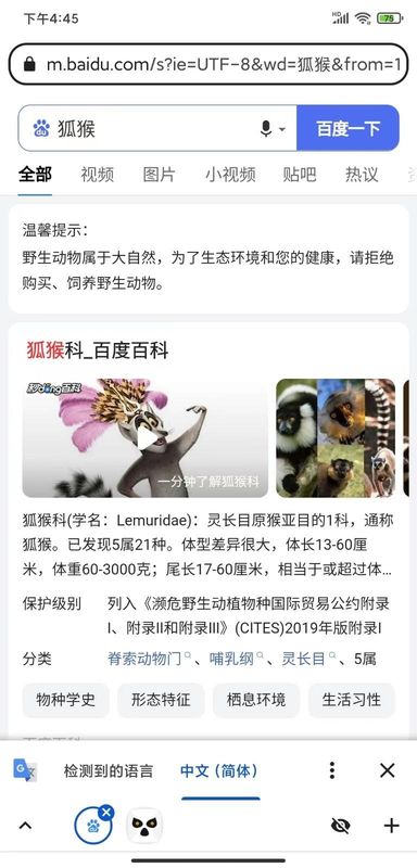 狐猴浏览器_图片3