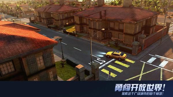 孤胆车神维加斯_图片1