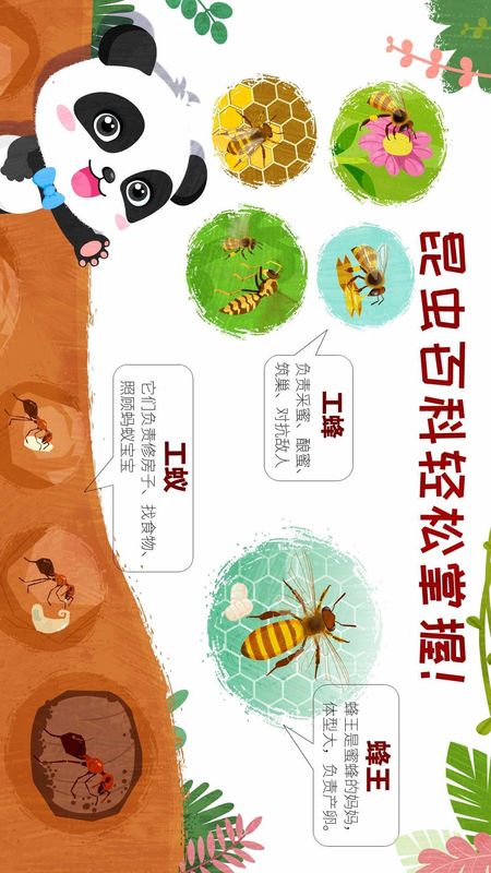 奇妙昆虫世界_图片4