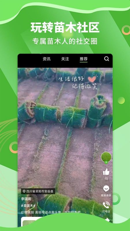 苗木通_图片2