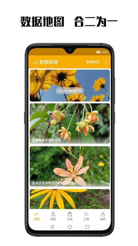 数图田调_图片4