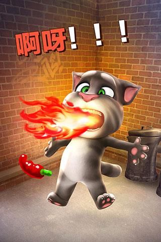 会说话的汤姆猫单机版_图片2