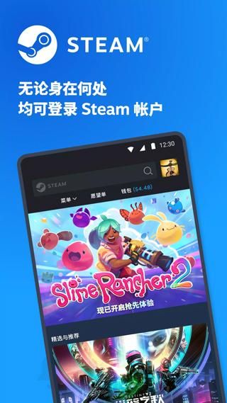 Steam软件_图片1