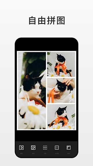 Fotorapp_图片1