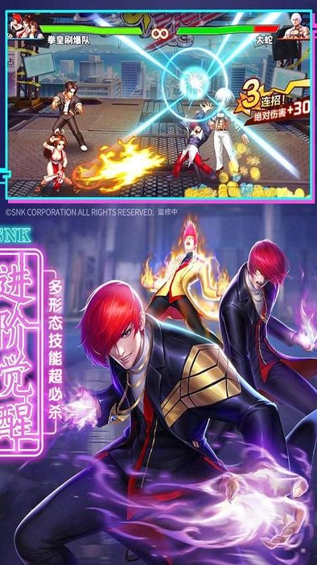拳魂觉醒果盘版_图片3