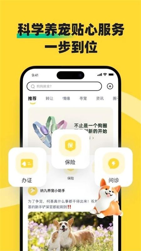 68宠物_图片2