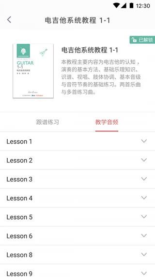 畅弹吉他_图片3