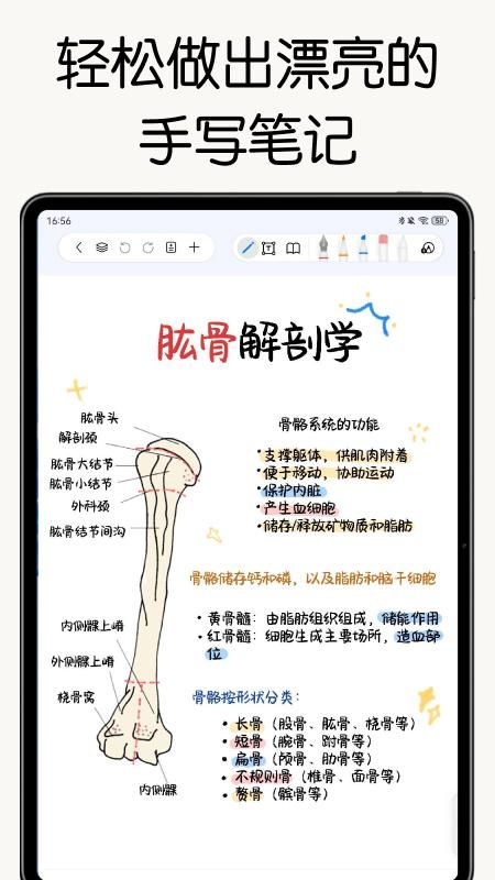自由笔记_图片1