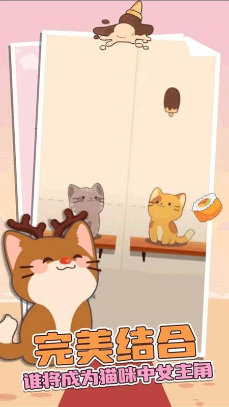 猫咪二重奏_图片4