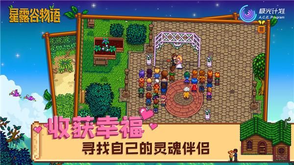 星露谷物语_图片3