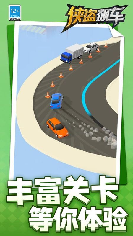 侠盗飙车_图片4