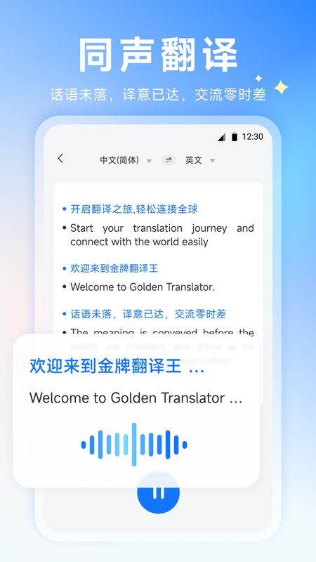 金牌翻译王_图片4