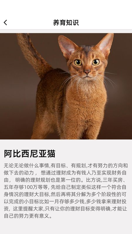 开心招财猫_图片3