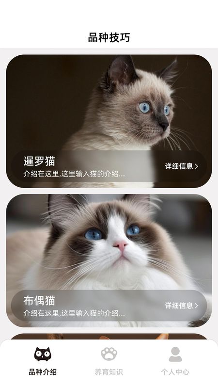 开心招财猫_图片1