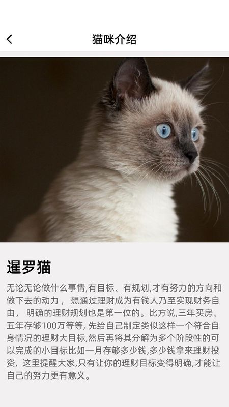 开心招财猫_图片2