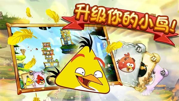 愤怒的小鸟2_图片2