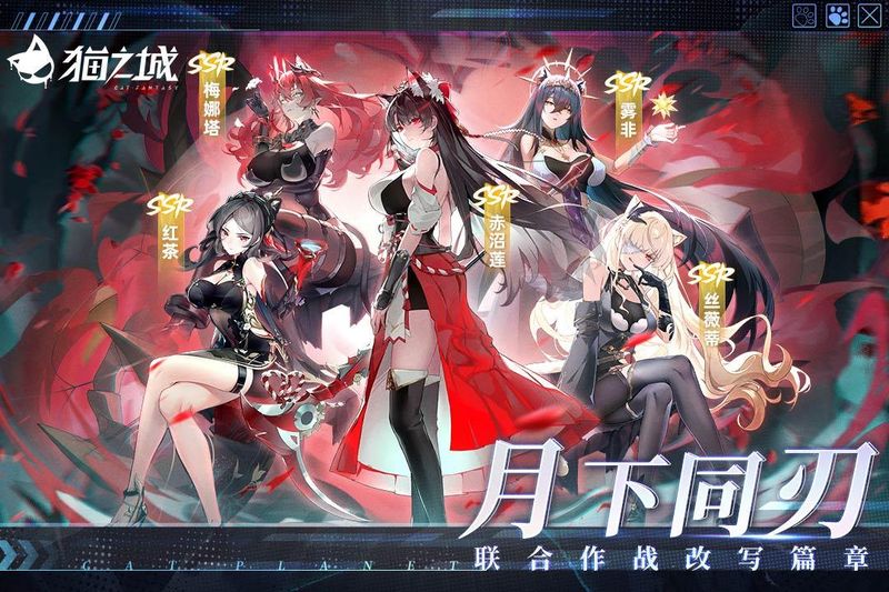 猫之城_图片3