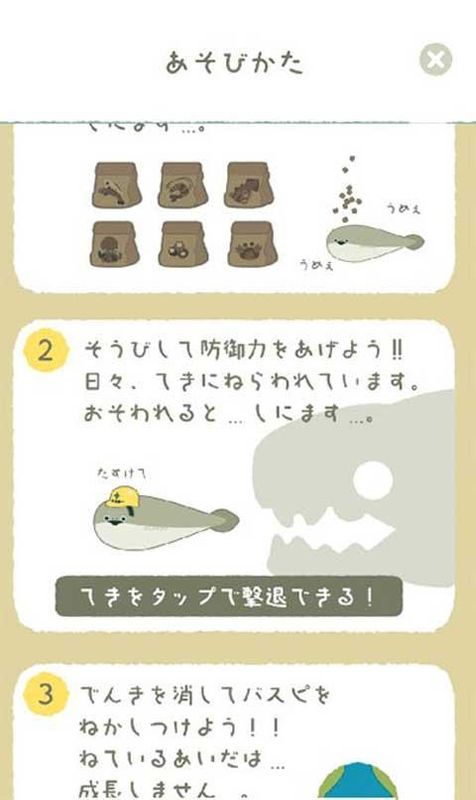 萨卡班甲鱼_图片2