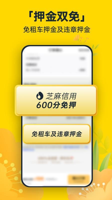 神州租车_图片4