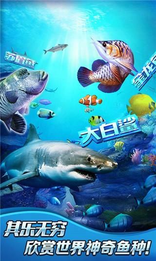 全民钓鱼2_图片3