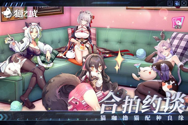 猫之城_图片4