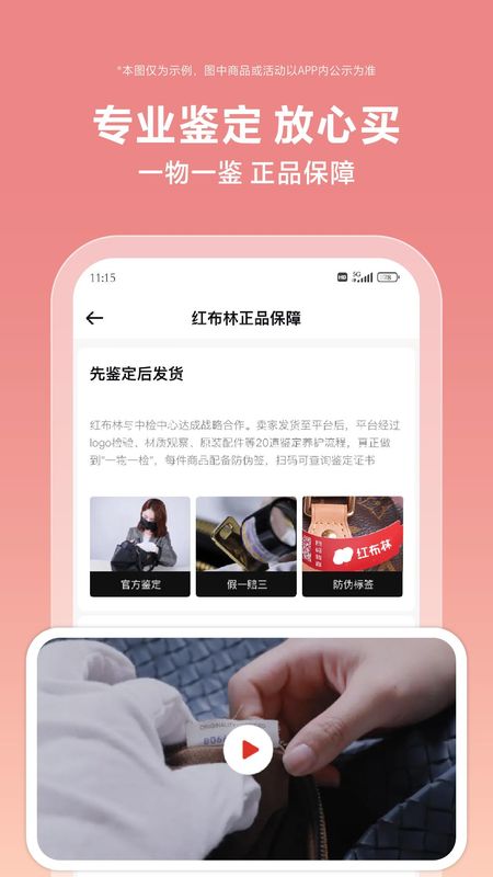 红布林_图片4