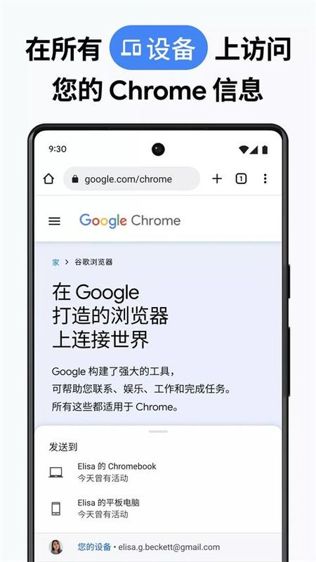 谷歌chrome浏览器_图片1