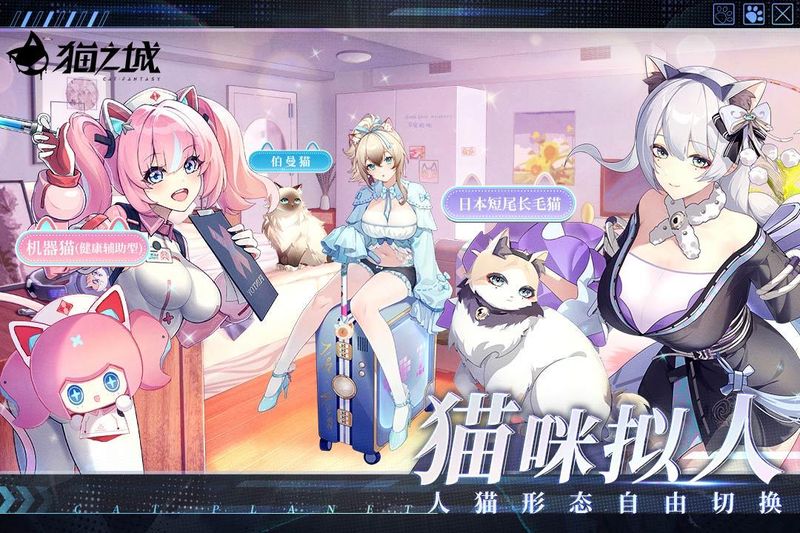 猫之城_图片1