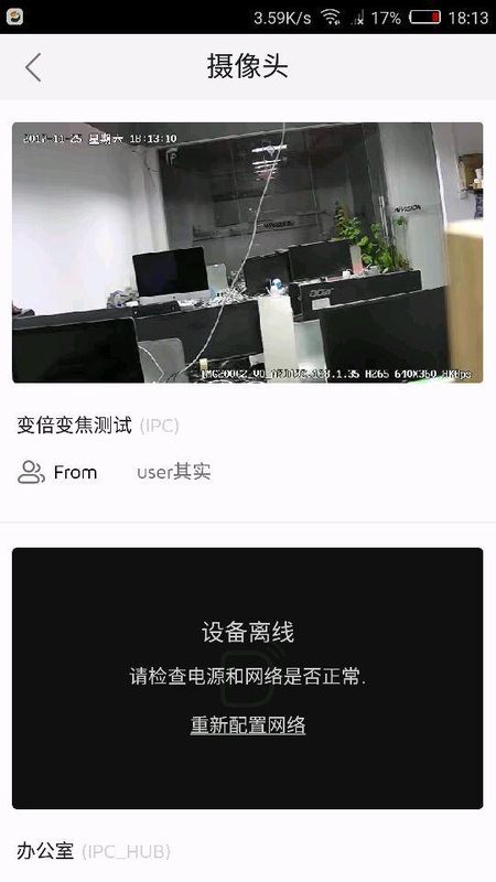 海雀_图片4