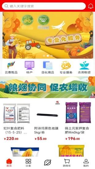 云香印象_图片1