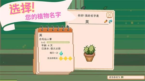 窗边花园_图片1