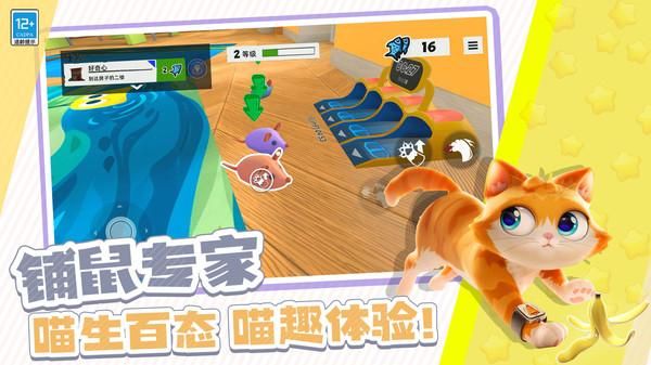 瞌睡猫玩乐时间_图片1
