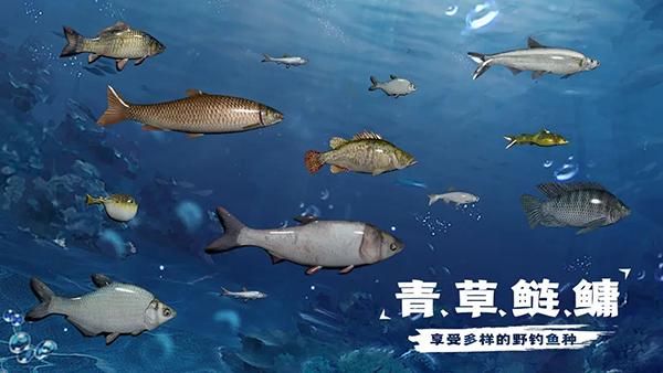 天天钓鱼_图片3