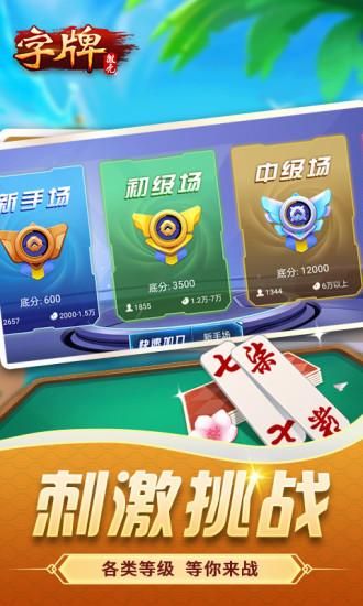 微壳字牌_图片5
