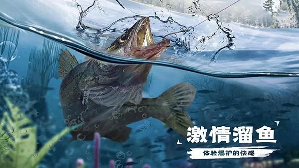 天天钓鱼_图片5