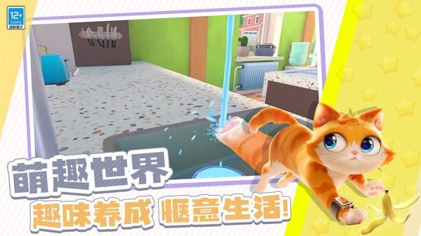 瞌睡猫玩乐时间_图片3