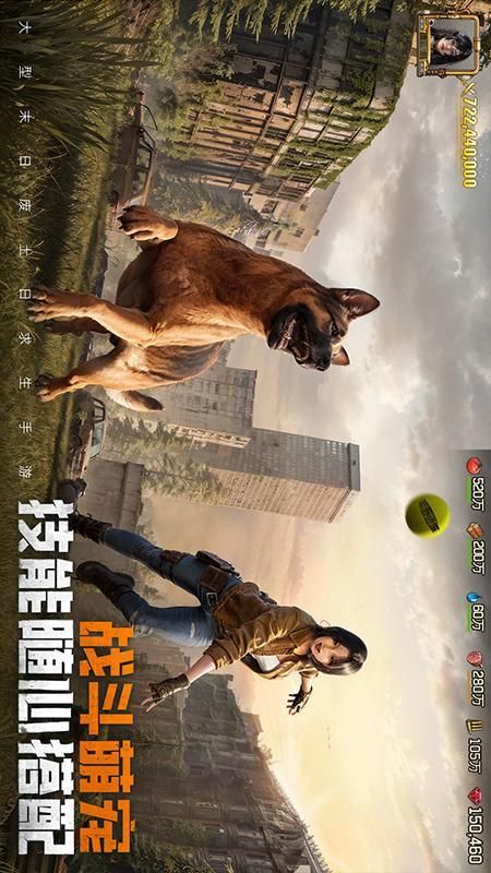 荒野迷城_图片5