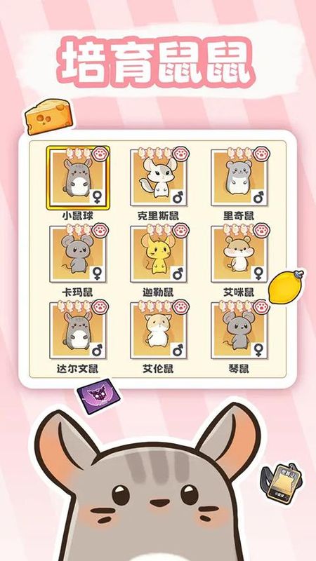 社会我猫哥_图片3