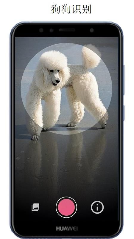 万物志APP_图片4