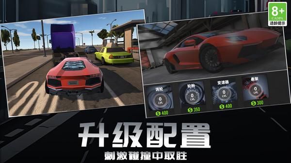 赛道狂野王者_图片5