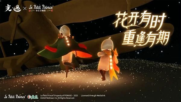 光遇sky全服装解锁版_图片2
