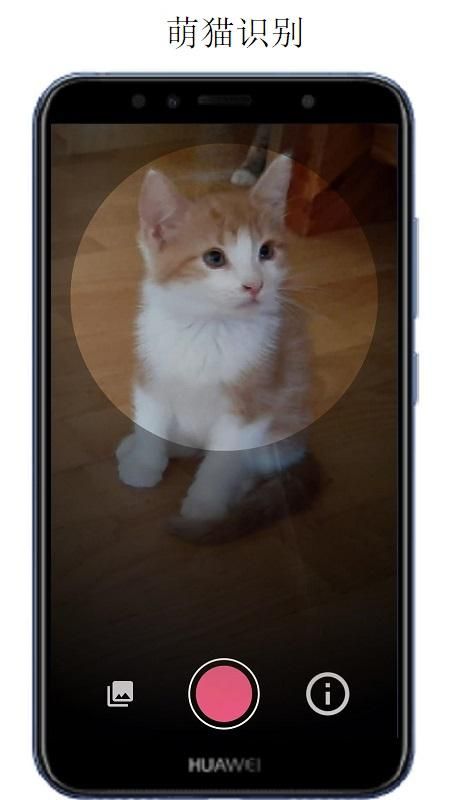 万物志APP_图片3