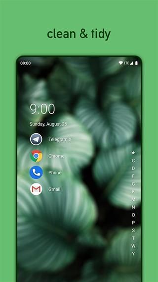 Niagara Launcher_图片3