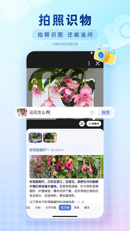 百度_图片5