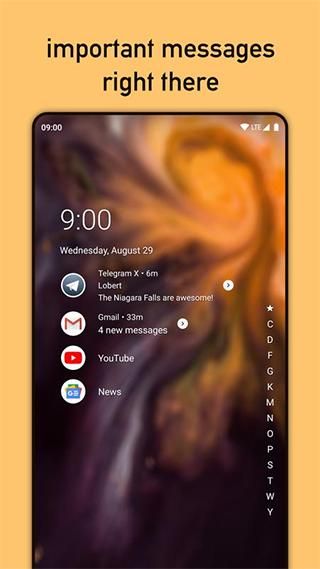 Niagara Launcher_图片4