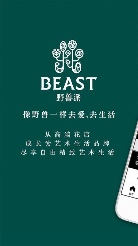 野兽派_图片3